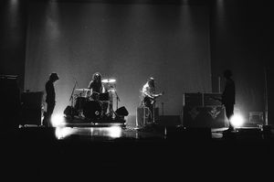 Image post by @thedandywarhols on Instagram