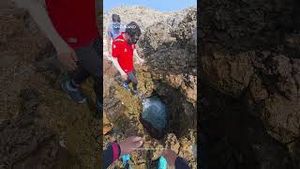 Video post by @dji on YouTube
