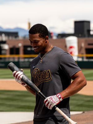 Image post by @saltlakebees on Instagram