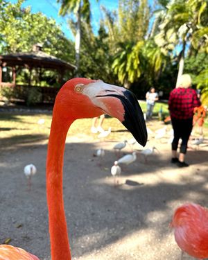 Image post by @visitsarasotacounty on Instagram