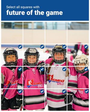 Image post by @ohockeyproject on Instagram