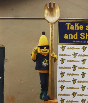 Image post by @thesavbananas on Instagram