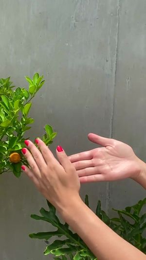 Video post by @RahuaBeauty on Facebook