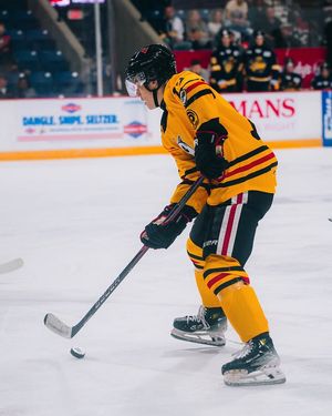 Image post by @ohlicedogs on Instagram