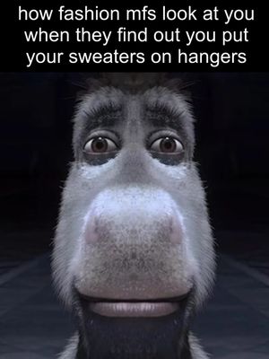 Image post by @throwingfits on Instagram
