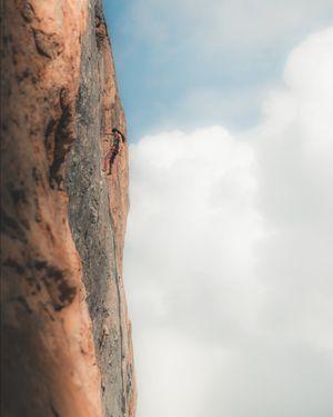 Image post by @scarpana on Instagram
