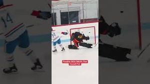 Video post by @_msfilms on YouTube