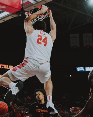 Image post by @cutigervision on Instagram