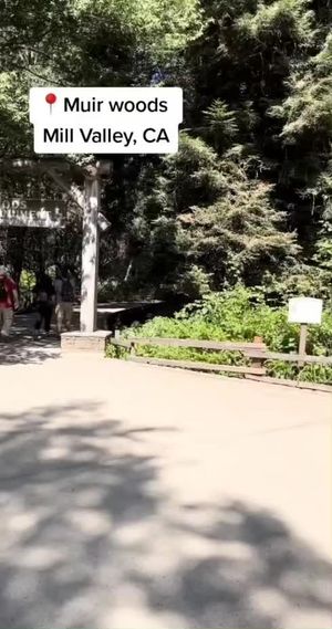 Video post by @ucberkeley on TikTok