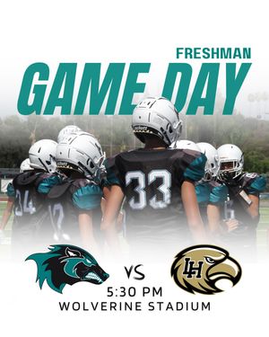 Image post by @aliso_football on Instagram