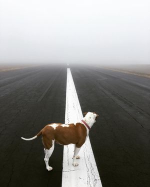 Image post by @foreflight on Instagram