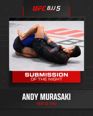 Image post by @ufcbjj on Instagram
