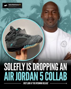 Image post by @soleretriever on Instagram