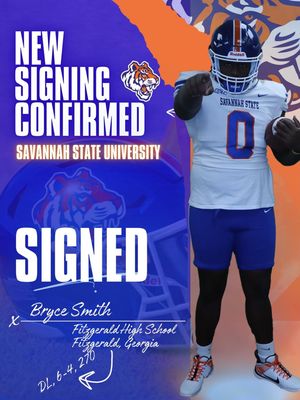 Image post by @savstatetigers on Instagram