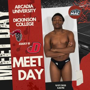 Image post by @arcadia_swim on Instagram