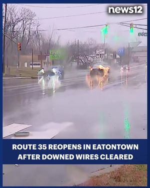 Image post by @news12nj on Instagram