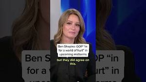 Video post by @msnbc on YouTube