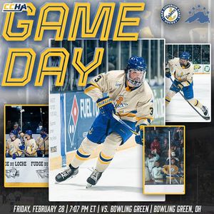 Image post by @lakestatehockey on Instagram