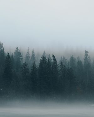 Image post by @takenbykathleen on Instagram