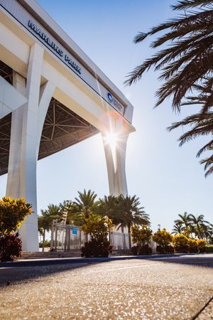 Image post by @FIUAthletics on Twitter