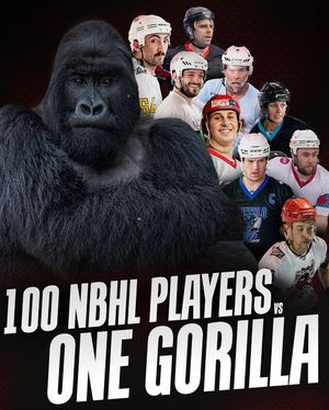Image post by @nationalballhockeyleague on Instagram
