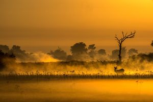 Image post by @natgeo on Instagram