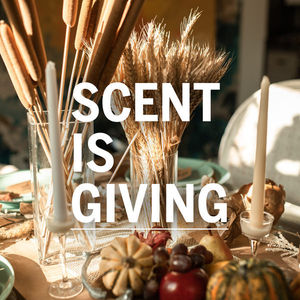 Image post by @scentbeauty on Instagram