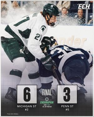 Image post by @everythingcollegehockey on Instagram