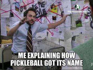 Image post by @thepickleballclinic on Instagram