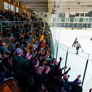 Image post by @bearsandpandas on Instagram