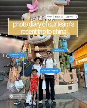 Image post by @flybyjing on Instagram