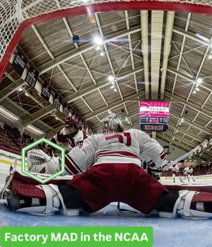 Image post by @thegoalnet on Instagram