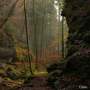 Image post by @cristan.nature.photography on Instagram