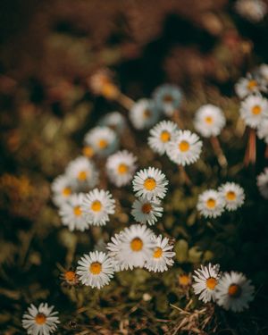 Image post by @sovanna.photo on Instagram