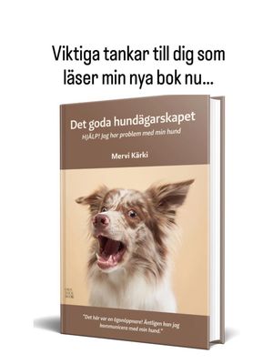 Image post by @det_goda_hundagarskapet on Instagram