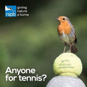 Image post by @rspb on Instagram