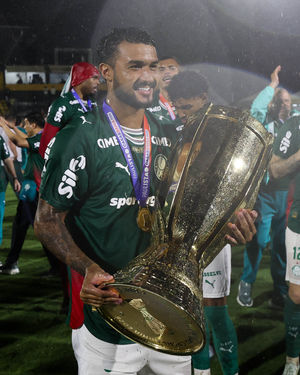 Image post by @palmeiras on Instagram