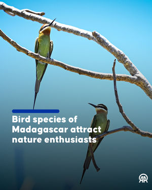 Image post by @anadoluagency on Instagram