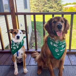 Image post by @iowawild on Instagram