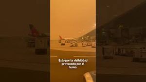 Video post by @univisionnuevayork on YouTube