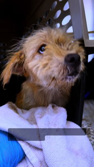 Video post by @acoalcorn13 on TikTok