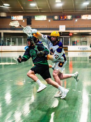 Image post by @wlalacrosse on Instagram