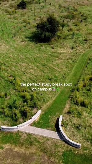 Video post by @thenortheastcollege on TikTok