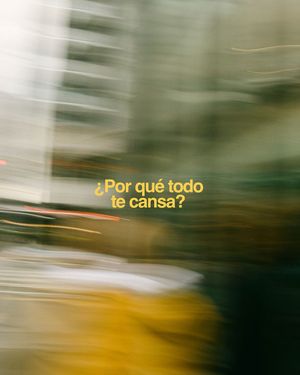 Image post by @veriedu.es on Instagram