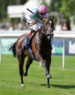 Image post by @juddmonte on Instagram