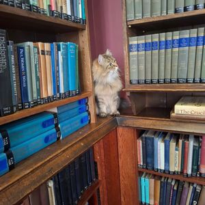 Image post by @oxford_uni on Instagram