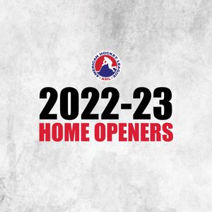 Image post by @theahl on Instagram