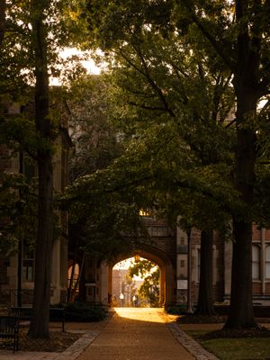 Image post by @washu on Instagram
