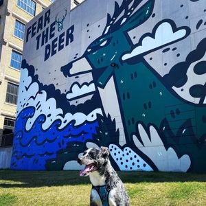 Image post by @theironhorsehotel on Instagram