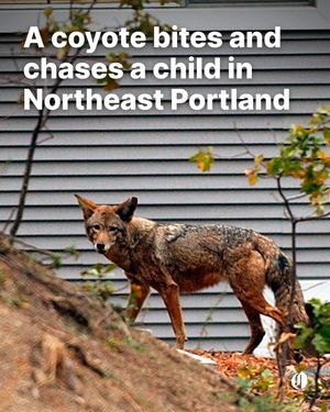 Image post by @theoregonian on Instagram